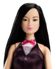 Mattel Barbie prva profesija - Violinistica DVF50