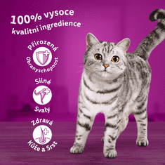 Whiskas vrećice, perad u soku, 48 x 85 g