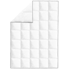 Vidaxl Zimski poplun s perjem 2 kom 155 x 220 cm