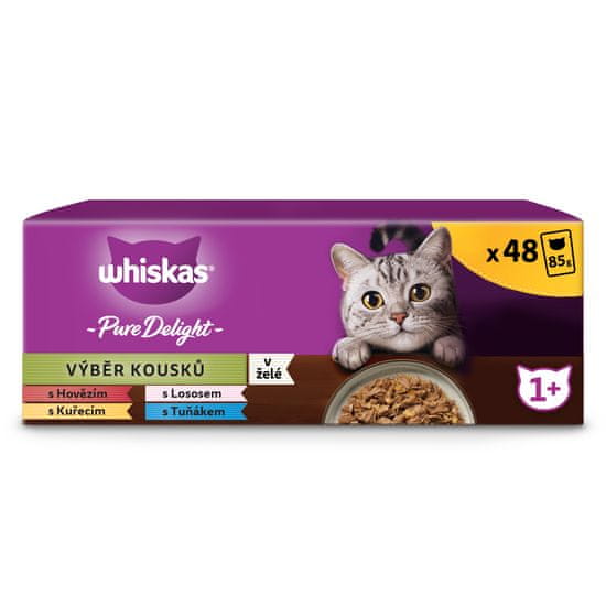 Whiskas mačja hrana u želeu Casserole, 48 komada