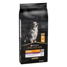 Purina Pro Plan Pro Plan Medium&Large 7+ Age Defense hrana za pse, piletina, 14 kg