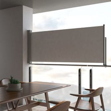 Vidaxl Uvlačna bočna tenda za terasu 100 x 300 cm siva