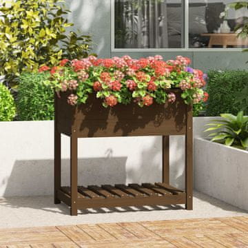 Vidaxl Žanjidar s policom boje meda 82,5 x 54 x 81 cm borovina