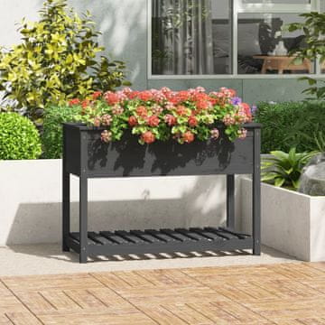 Vidaxl Žanjica s policom siva 111,5 x 54 x 81 cm masivno borovo drvo