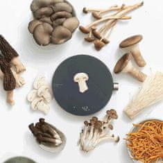 Xiaomi Hoto Smart Kitchen Scale, pametna digitalna kuhinjska vaga