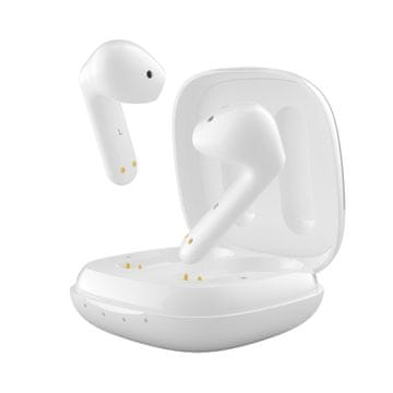 Timekettle WT2 Edge offline, prevoditelj