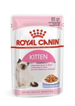 ROY Royal Canin FHN Kitten Instinctive u umaku - mokra hrana za mačiće - 12x85g