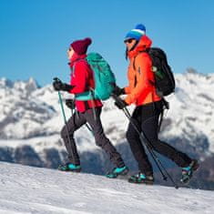Trizand Mačke/protuklizni šiljci s. L Trizand