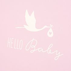 Goldbuch BABY STORK PINK foto album dječji BB-P60 30x31