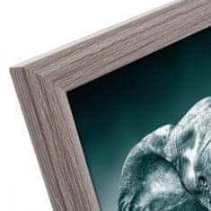 Goldbuch TOSCANA GREY MDF okvir A4 i sl