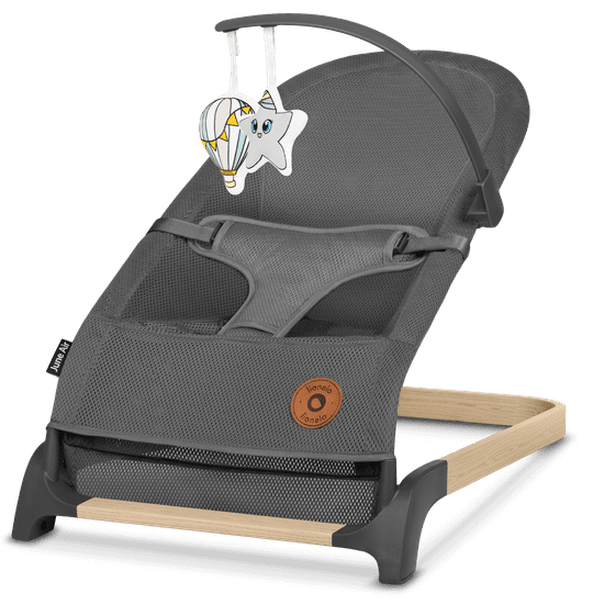 Lionelo June Air Grey stolica za ljuljanje