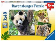 Ravensburger set slagalica, panda, lav, tigar, 3 x 49