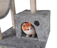 PET Toys drvo za mačke i grebalica za mačke, 180x60x50 cm, 4 razine