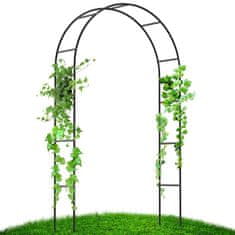 Severno Vrtna pergola za cvijeće, ruže, luk "Slatko ljeto"