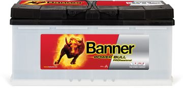 Banner Power Bull PROfessional akumulator, 100 Ah, (D+), 12 V, Ca-Ca