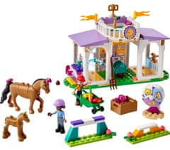 LEGO Prijatelji 41746 Obuka konja
