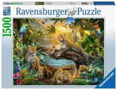 Ravensburger puzzle, Savana s leopardima, 1500/1