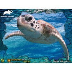 Animal Planet 3D puzzle, zelena morska kornjača, 100/1