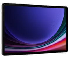 Samsung Galaxy Tab S9+ tablet, 12GB/256GB, Wi-Fi, Graphite Gray (SM-X810NZAAEUE)