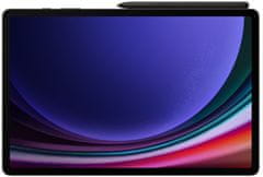 Samsung Galaxy Tab S9 Ultra tablet, 12GB/256GB, Wi-Fi, Graphite Gray (SM-X910NZAAEUE)