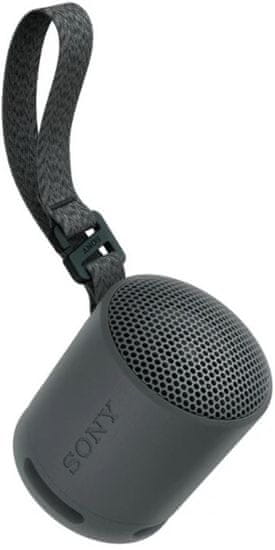 Sony SRS-XB100 bežični zvučnik