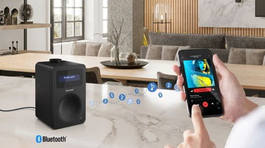 Sharp DR430BK prijenosni DAB radio