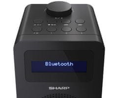 Sharp Tokyo Digital Radio DR-430(BK)