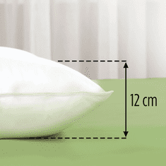 Vitapur Aloe Vera ClimaFill set klasičnih jastuka, 2x 50x70 cm