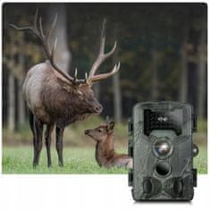 Dexxer Bežična prijenosna kamera za lov LCD 36Mpx FULL HD