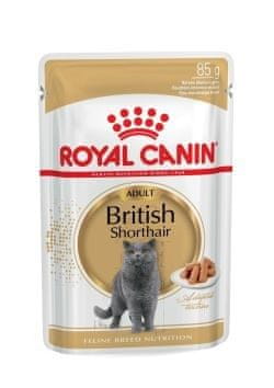 ROY ROYAL CANIN British Shorthair hrana za mačke, 12x85g