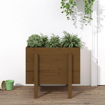 Vidaxl Žabinjak boje meda 62x50x57 cm Puno borovo drvo