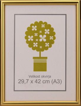 Karako Okvir za slike 29,7x42 cm, plastika, zidni, 95 zlatni A3