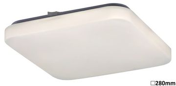 Rabalux Stropna svjetiljka 2286 LED ROB 1xLED/20W/230V