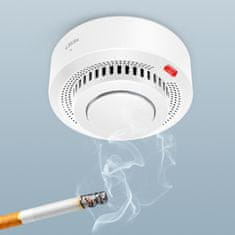 BOT Pametni detektor dima ZigBee SS2