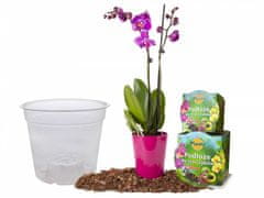 Planta Set zemlje za orhideje s posudom od 1,1 l