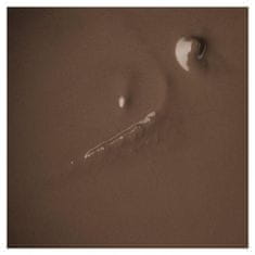 AFFECT Pomada za obrve - Vodootporna pomada za obrve - Srednje Smeđa