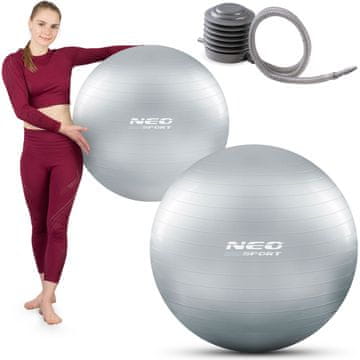 Neo-Sport Lopta za vježbanje 75 cm NS-952 srebrna