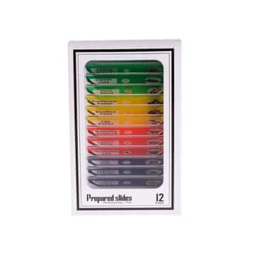 Netscroll Set mikroskopskih preparata, 12 kom, pločice za mikroskop, unaprijed pripremljene obojene pločice za promatranje, edukativni dodatak za dječji mikroskop MicroscopeKit, Slides