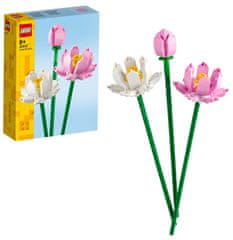 Botanicals 40647 Lotosovi cvjetovi