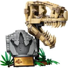 LEGO Jurassic World 76964 Jurski park: T-rex lubanja