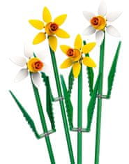 LEGO Botanicals 40747 Narcisi