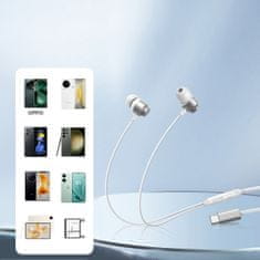 Joyroom JR-EC06 slušalice USB-C, srebro