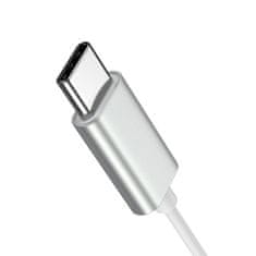 Joyroom JR-EC06 slušalice USB-C, srebro