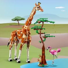 LEGO Creator 31150 Divlje safari životinje