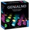 Igroljub Genialno (Einfach Genial) društvena igra