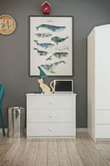 Furnitura DREAMY LADIČAR (VIŠE BOJA)-bijela