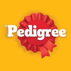 Pedigree poslastice Denta Stix, veliki, 28 komada