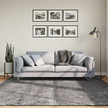 Vidaxl HUARTE tepih, niska flora, antracit, 200x200 cm