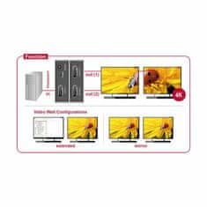 Delock DisplayPort 2x1 4K MST 87691 multiplikator