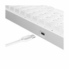 White Shark USB tipkovnica bijelo/crvene mehaničke tipke GK-2022 SHINOBI-W